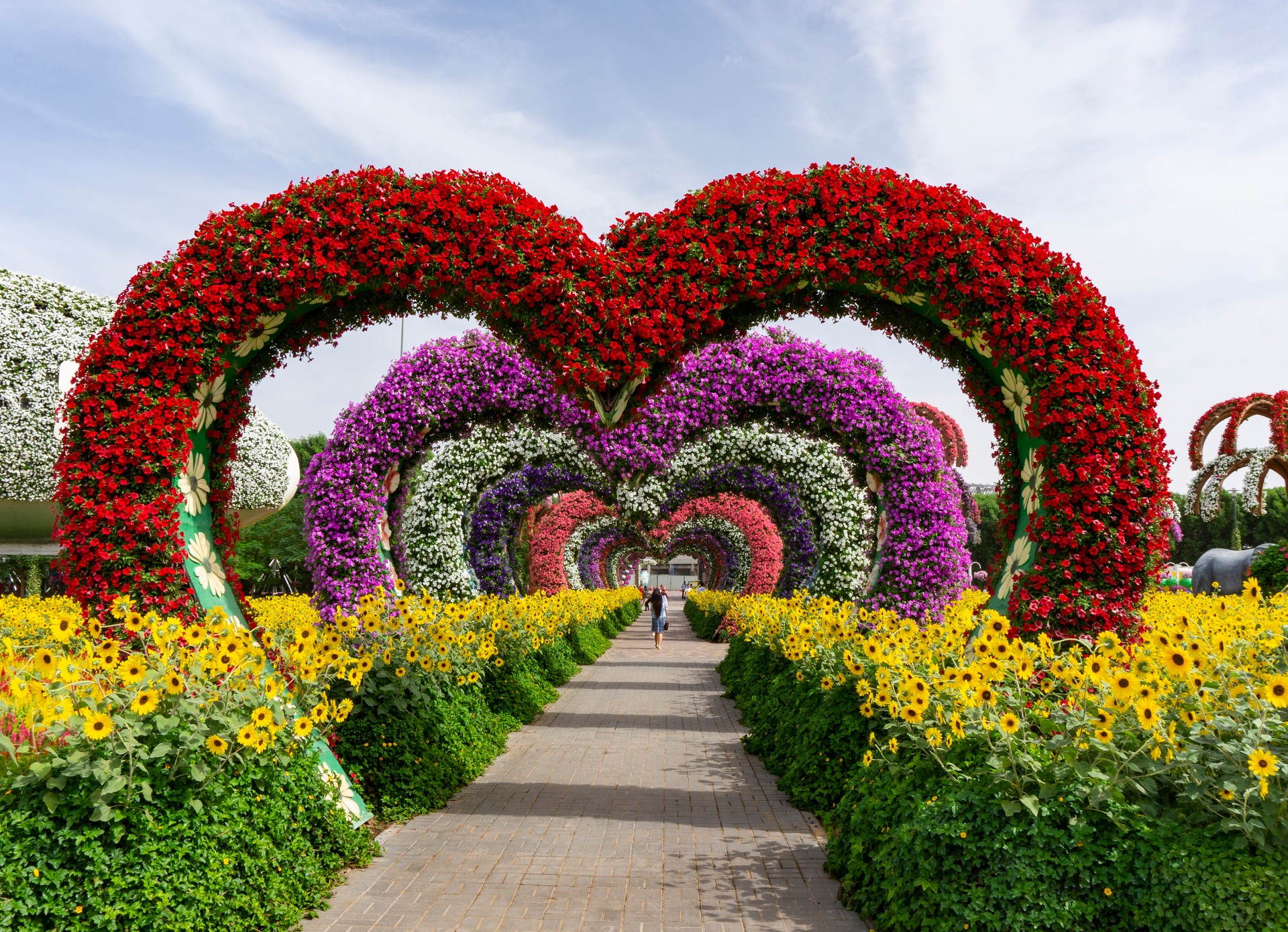 Dubai Miracle Garden Park 