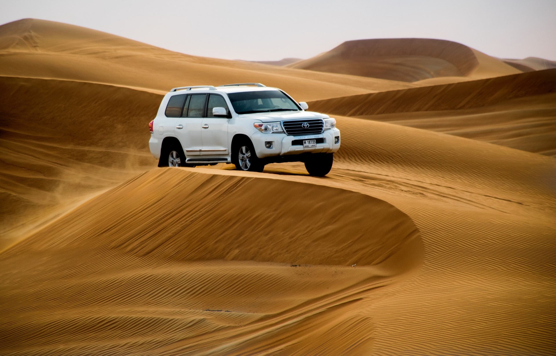 Desert safari in Dubai